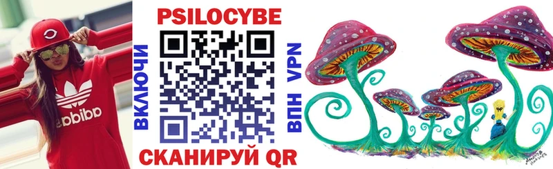 мега как зайти  цены   Долинск  Псилоцибиновые грибы Psilocybine cubensis 