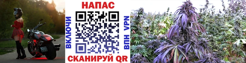 OMG ССЫЛКА  закладки  Долинск  Каннабис конопля 